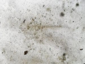 lafayette crawlspace remediation can remove black mold from your crawlspace