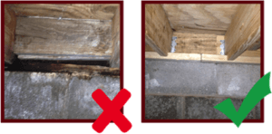 lafayette crawlspace remediation can remove mold quickly and affordably
