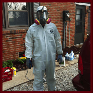 have a professional clean up mold from your lafayette indiana home
